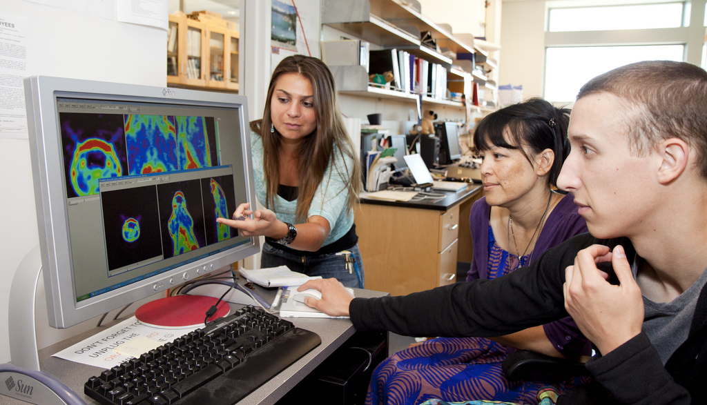 What Makes A Great Teacher’s Assistant?