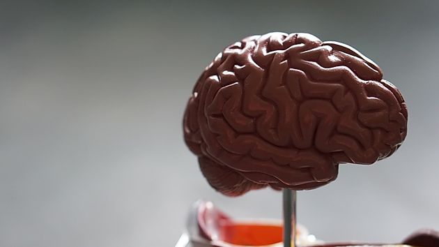 Get Your Brain Hooked on Positivity