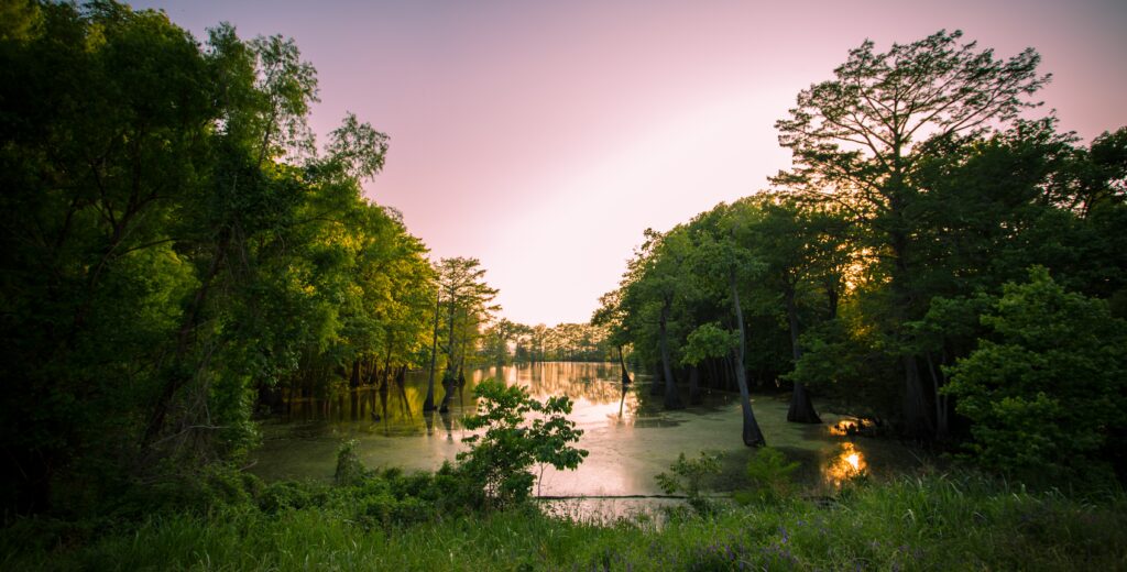 Start Planning Today for a Social Work Career In Louisiana