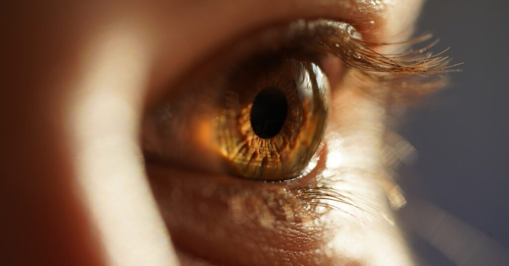Why Become an Ocular Disease Optometrist